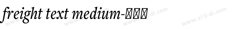 freight text medium字体转换 freight text medium字体转换